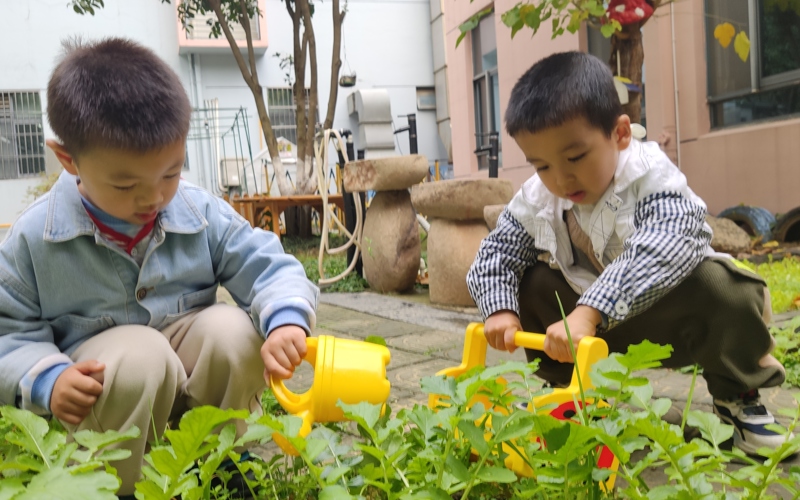 锦程幼儿园：一雷惊蛰始，春醒燕归来