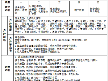 第二十周工作计划