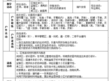 大6班 第20周周计划