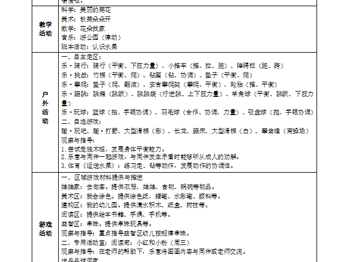 第九周工作计划