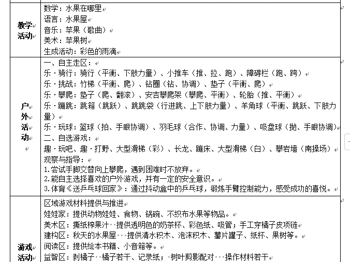 小二班第十周工作计划