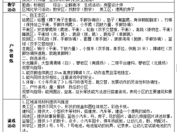 第十周工作计划
