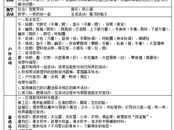第十一周周计划