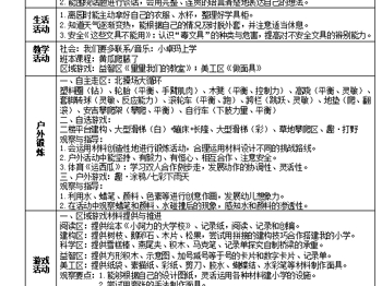 第十五周工作计划
