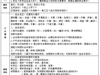 第十七周工作计划