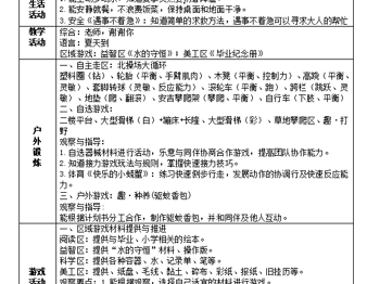 第十八周周计划