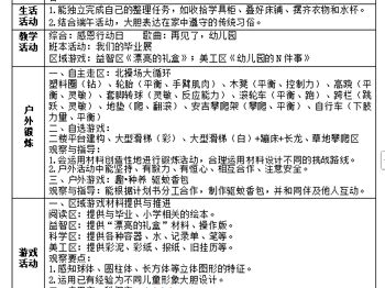 第十九周周计划