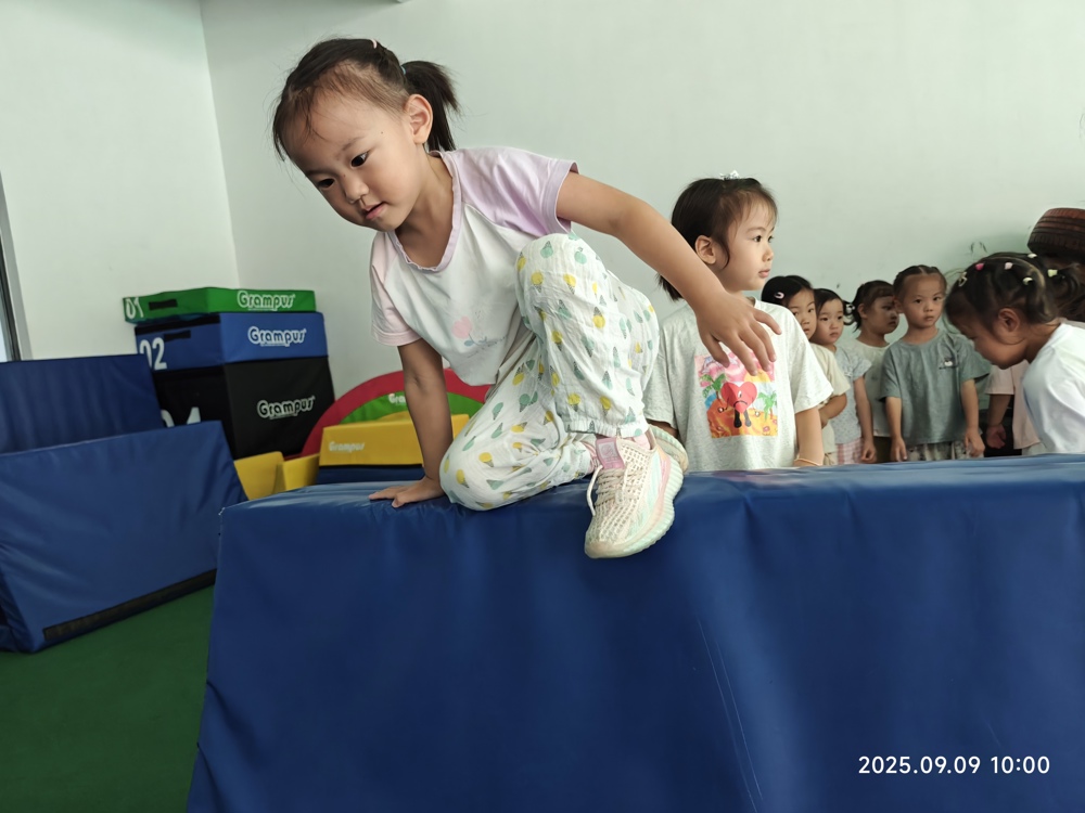 797a63925d7146bd8ad73008bb1acc8b.jpg