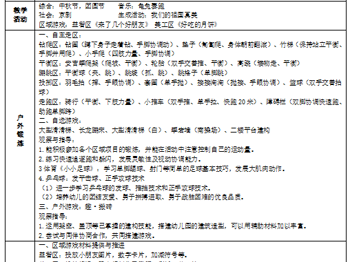 第5、6周工作计划