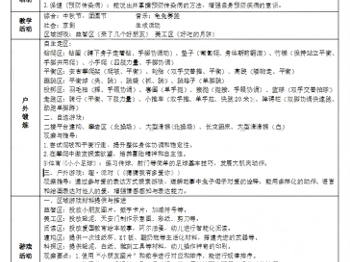 第5、6周周计划