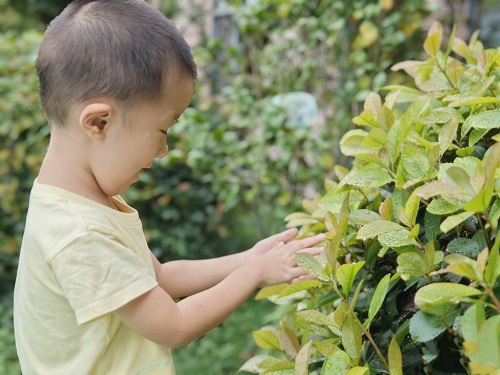 锦程幼儿园：寒露凝秋韵 童趣探自然