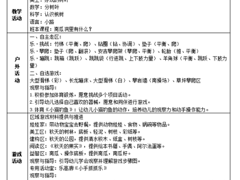 第八周活动计划