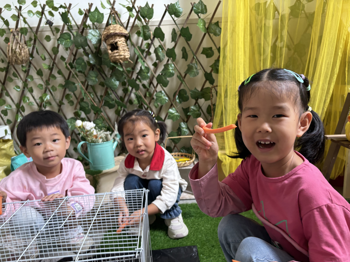 第六周：照顾小兔子