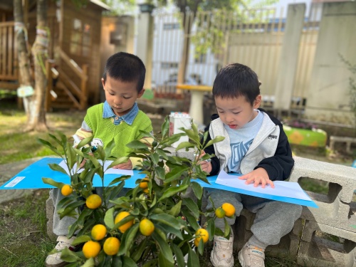 00c169ce98b7467cabd684f110f45deb.jpg 00c169ce98b7467cabd684f110f45deb.jpg