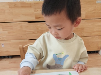 第九周：树叶排队