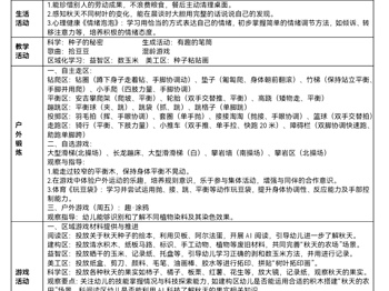 第八周工作计划