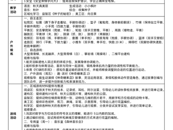 第九周工作计划