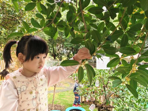 01b5ed4d690f4e7587d3d3a0bca3b736.jpg 01b5ed4d690f4e7587d3d3a0bca3b736.jpg