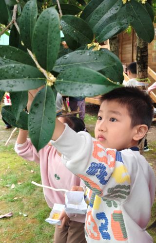 2765f8d289484a1a9315d350ed4ec0ac.jpg 2765f8d289484a1a9315d350ed4ec0ac.jpg