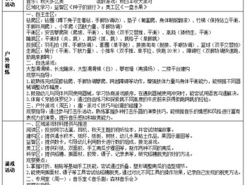 第十一周工作计划