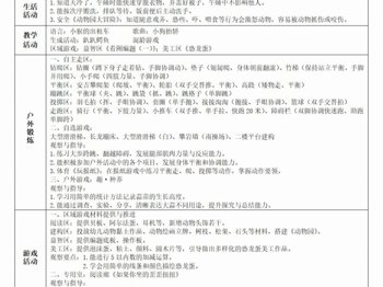 第十三周工作计划