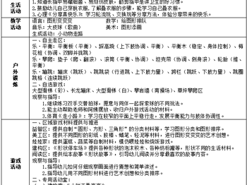 第十五周周计划