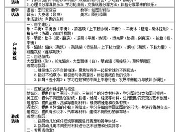 （小2班）第十五周周计划