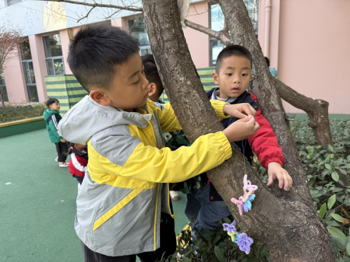 我来装扮冬天的树