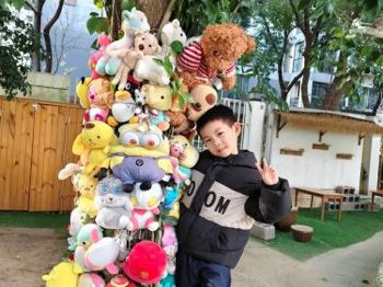 我们的“娃娃树”