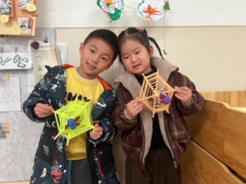 蜘蛛宝宝的网世界