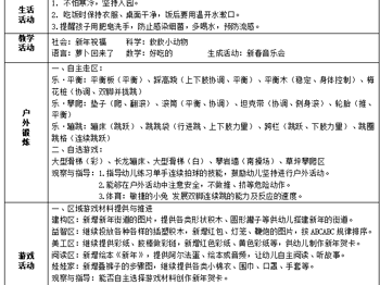 第二十一周周计划