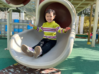 第二十周：滑梯乐园的欢乐时光