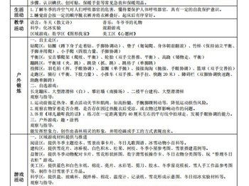 第二十周工作计划