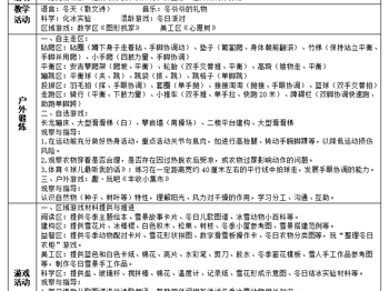 第二十周周计划